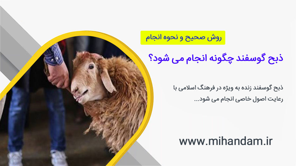 ذبح گوسفند چگونه انجام می شود + روش صحیح و نحوه انجام